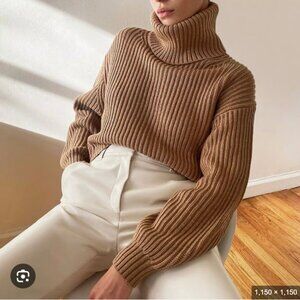 Aritzia Babaton Guell Turtleneck Sweater in Dark Sand Brown